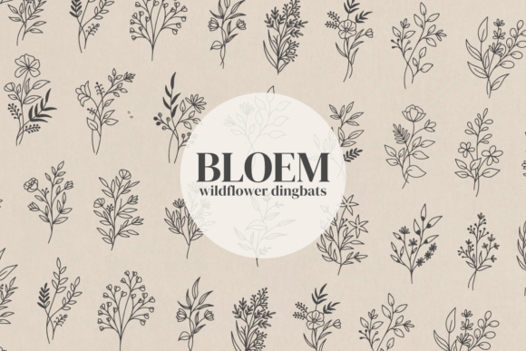 Enhancing Creativity with Bloem: A Botanical Wildflower Dingbats Font for Modern Designers